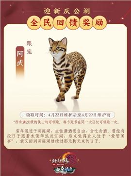 凤凰合击天龙八部私服